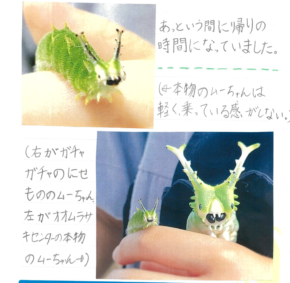 イモムシ界のアイドル！ムーちゃんに会いに行ったよ！ | MOVEラボ